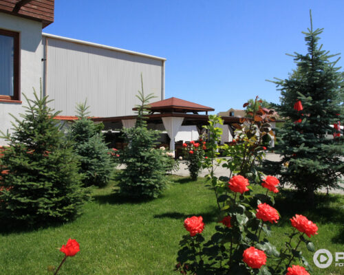 O oază de liniște în Brașov: Descoperă Garden Club