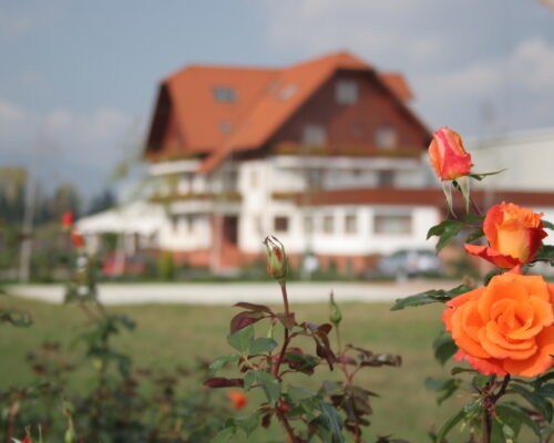https://www.gardenclub.ro/hotel/